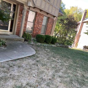 Bush Trimming by Javier's Lawn Care Services reviewed on August 20, 2025