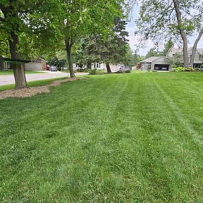landscape maintenance by Rhoyalty Lawn Care, LLC reviewed on August 21, 2025
