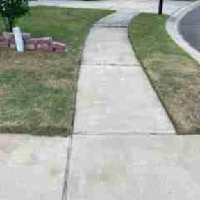 Bush Trimming by Suncoast Mowing and Pressure Washing Company reviewed on August 19, 2025