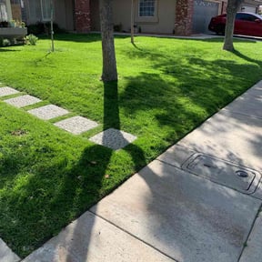 lawn maintenance by Parra's Lawn Service reviewed on August 20, 2025
