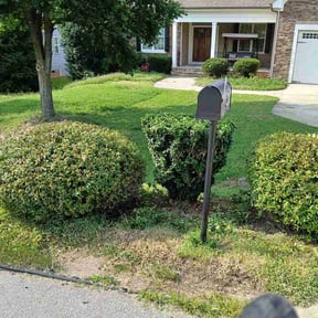 Bush Trimming by Beetlebaileymowing2026@gmail.com reviewed on August 6, 2026