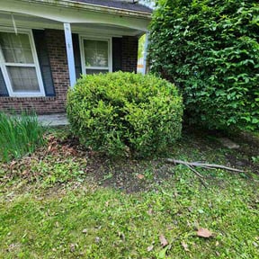 Bush Trimming by Fredscape reviewed on May 17, 2026