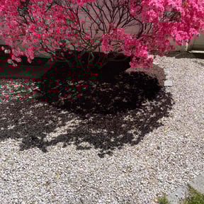 Mulching by M & F Landscaping Services LLC reviewed on August 20, 2025