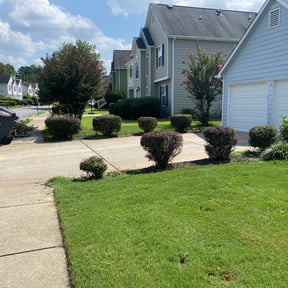 Bush Trimming by M L LANDSCAPING reviewed on August 15, 2025