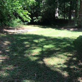 Bush Trimming by Myers Landscaping & Hauling reviewed on August 15, 2025
