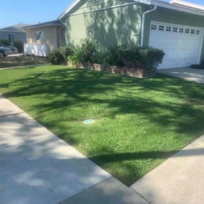 landscaping services by Independent Contractor reviewed on July 3, 2025