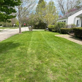 grass maintenance by Stephanie Mularchuk reviewed on April 7, 2024