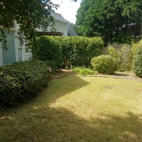 Bush Trimming by KraftAlley Lawns reviewed on August 18, 2025