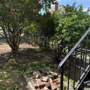 Bush Trimming by Wayne Enterprise Lawn Care reviewed on October 21, 2025