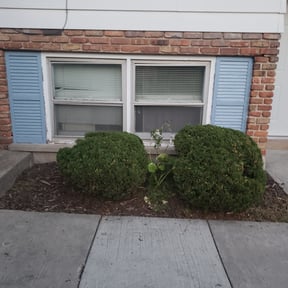 Bush Trimming by Fuller Gardening, LLC reviewed on August 20, 2025