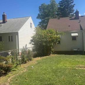 Bush Trimming by Davis Yard Works, LLC reviewed on October 22, 2025