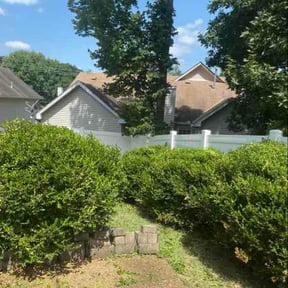 Bush Trimming by FALCON LANDSCAPE AND HOME SOLUTIONS reviewed on July 7, 2026