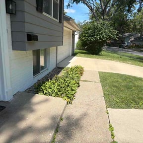 Bush Trimming by Casa Verde Customs reviewed on August 28, 2026