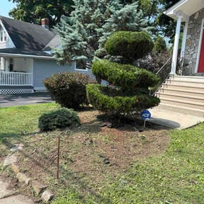 Bush Trimming by Kailand reviewed on July 25, 2026