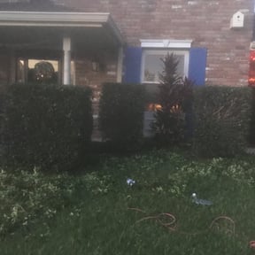 Bush Trimming by Southern Lawn and Leaf reviewed on August 21, 2025