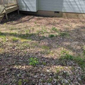 Leaf Removal by Jays lawn care reviewed on July 27, 2022