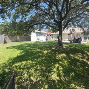 yard service by M&M's Lawn Services reviewed on August 15, 2025