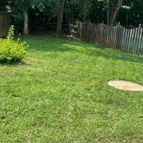 residential landscaping by The guy property maintenance reviewed on August 21, 2025