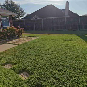 yard maintenance by Lawn Service 2.0 reviewed on November 24, 2025