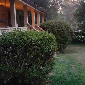 Bush Trimming by SameDayLawnCare reviewed on August 30, 2026
