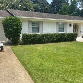 Bush Trimming by All American Lawn Service reviewed on August 21, 2025