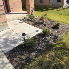 Flower Bed Weeding by Anthony reviewed on August 15, 2026
