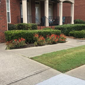Bush Trimming by Atlas Fresh Cuts Lawn Care reviewed on August 21, 2025