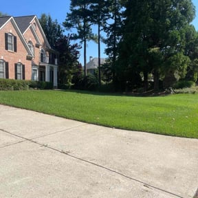 landscape maintenance by C&J Landscaping reviewed on August 19, 2025