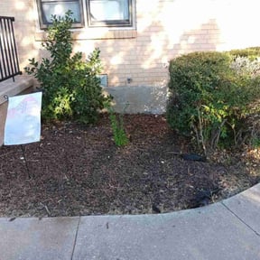 Flower Bed Weeding by BNK Home Improvements &amp; Landscaping LLC reviewed on November 10, 2025