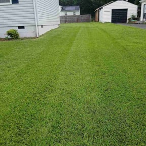 lawn maintenance by The Business reviewed on May 1, 2025