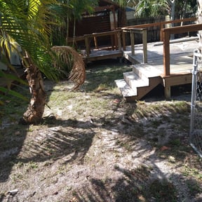 Leaf Removal by AMAZING GRAZERS reviewed on September 16, 2025