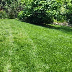 residential landscaping by JA All purpose property management reviewed on November 25, 2025