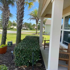 Bush Trimming by L&S Lawn Pros reviewed on August 15, 2025