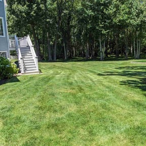 residential landscaping by Clean cuts lawn work reviewed on August 15, 2025