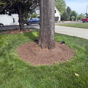 Flower Bed Weeding by The Other Side Lawn Care reviewed on April 16, 2026