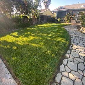landscaping by Discount Mowing reviewed on August 16, 2025