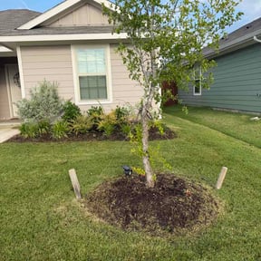Flower Bed Weeding by Front 9 Lawn Services reviewed on July 14, 2026