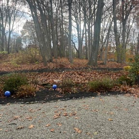 Flower Bed Weeding by Schindler&#039;s Lawn reviewed on November 21, 2025