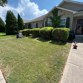 Bush Trimming by Z’s Mowing reviewed on November 4, 2025