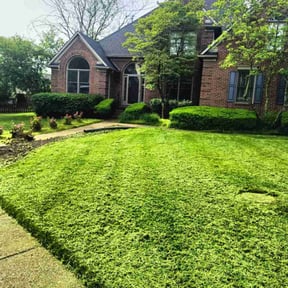 yard care by Lawn and Labor Services reviewed on January 29, 2026