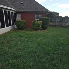 Bush Trimming by 365 OutDoor Pros reviewed on November 20, 2025