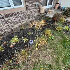 Flower Bed Weeding by LSG LLC reviewed on November 24, 2025