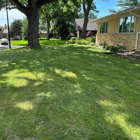 lawn maintenance by Otto lawnmower reviewed on August 16, 2025