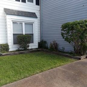 Bush Trimming by Willow Outdoor Professionals, LLC reviewed on August 15, 2025