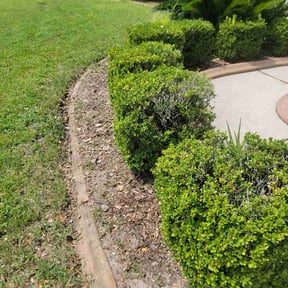 Flower Bed Weeding by J&amp;R Lawncare &amp; Maintenance reviewed on August 14, 2026