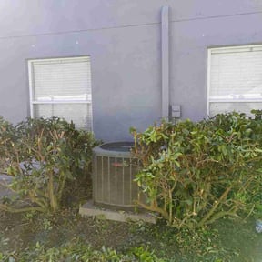 Bush Trimming by MZ Lawn Services reviewed on August 17, 2025