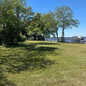 yard care by Lawn Pro reviewed on December 20, 2025