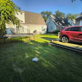 Bush Trimming by Precision Lawn Care of VA reviewed on June 13, 2022