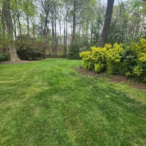 gardening service by Lawnspire reviewed on August 19, 2025