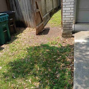 Leaf Removal by LEL landscape reviewed on August 19, 2025